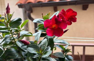 Casa Artista - Foto 78