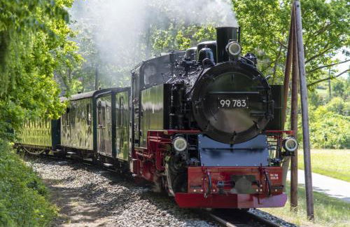 Pink und Meer - Foto 43