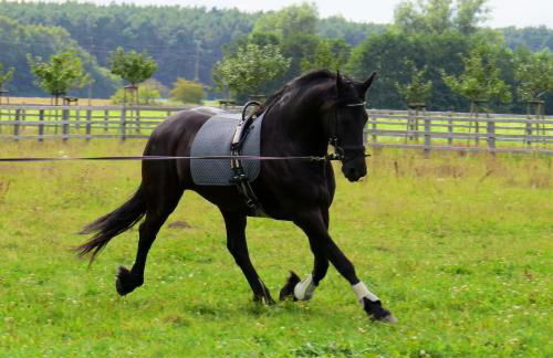 Lerchenhof in Reestow - Foto 23