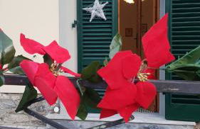 Casa Clelia - Foto 60