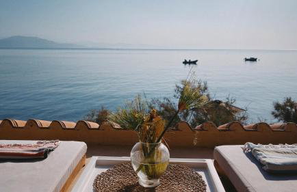 The Artist's Farm - Foto 23