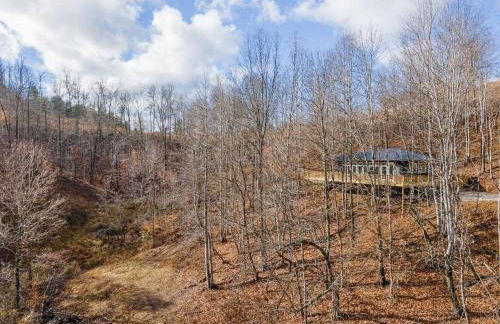 Primrose - Cave Run Lake OR Red River Gorge KY - Foto 33