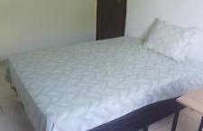 Ap para Carnaval Salvador - Foto 2