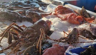 Appartement 63 m2, tout confort, climatisé. - Foto 5