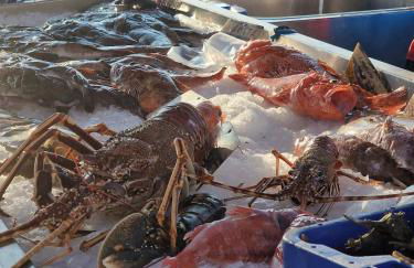 Appartement 63 m2, tout confort, climatisé. - Foto 5