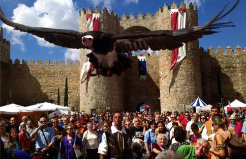 El Patio - Casa de uso turistico - Foto 18
