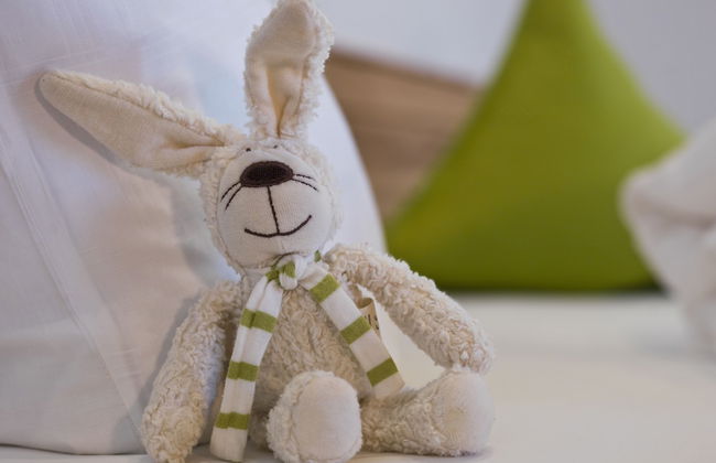 Landhaus Altmuehltal - Foto 15