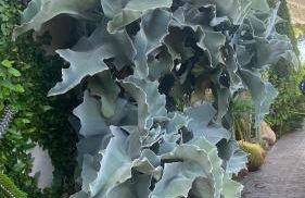 La Paratá Suites Mojácar - Foto 40