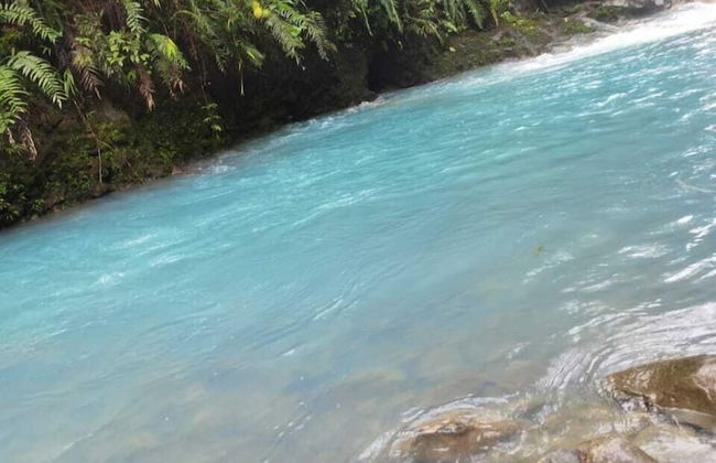 Selvática del Toro - Foto 40