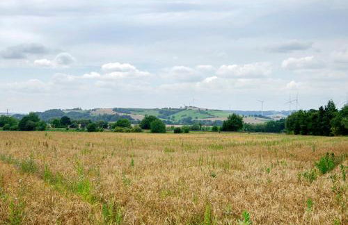 Harzblick am Waldesrand - Foto 30