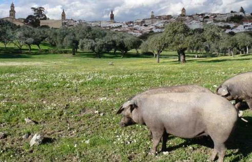 Buhardilla Rústica Mirando a Santa Catalina - Foto 52