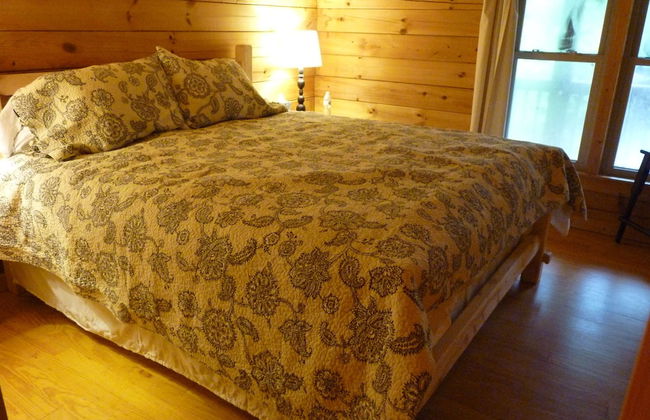 Horseshow Hideaway – Pet Friendly Cabin, 7 Minutes to TIEC - Foto 3