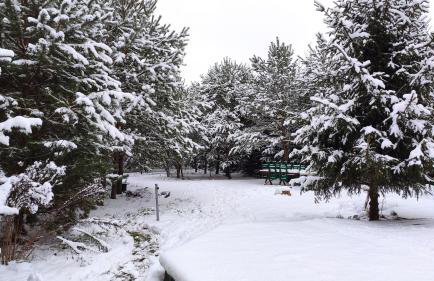 Dom z basenem nad Narwią - Foto 32