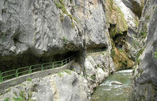 VIVIENDAS DE USO TURÍSTICO La Arboleda I y II - Foto 52