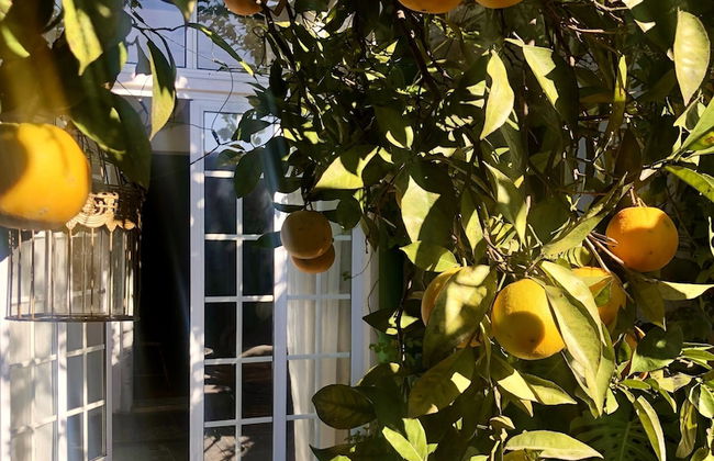 Beautiful Small House in Algarve, Portugal - Foto 22