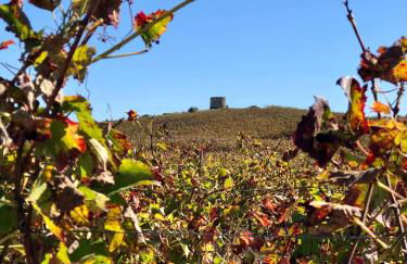 Pool oasis with private parking -Vigia 8 - Foto 71