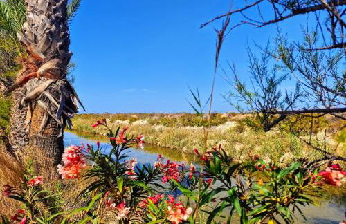 Apartment San Pedro - Foto 36