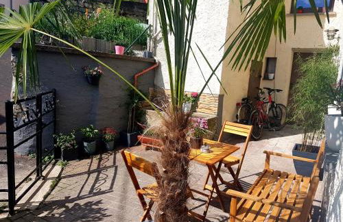 Ein Trip in die Natur - Foto 24