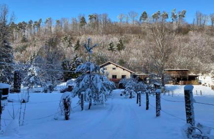 Le petit Sabotier - Foto 10