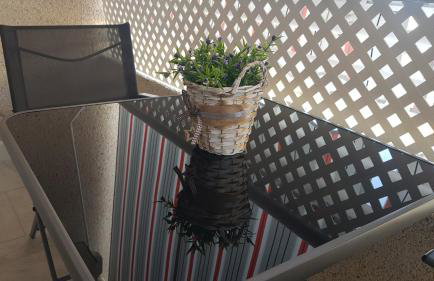 Apartamento Pepi Puerto (Adults Only) - Photo 35