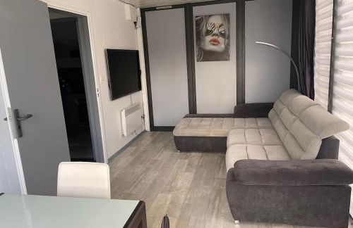 Chaleureuse annexe contemporaine - Foto 4