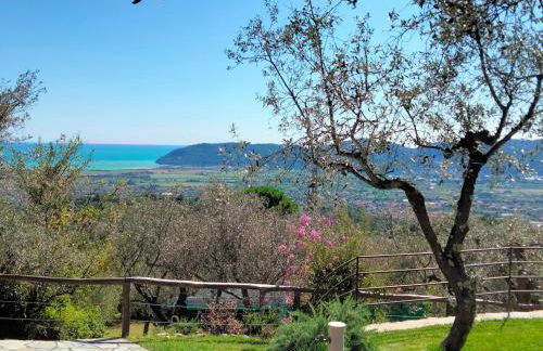 A CASA DI OLIVO - Foto 31