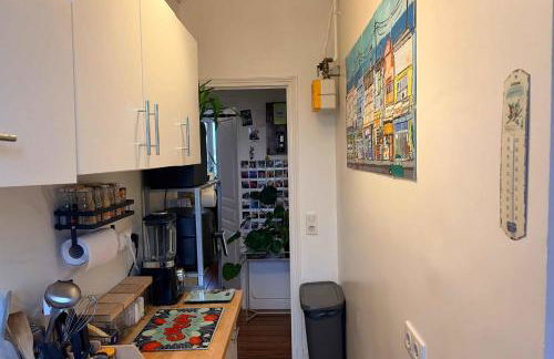 Bright apartment in the heart of the city - Foto 9