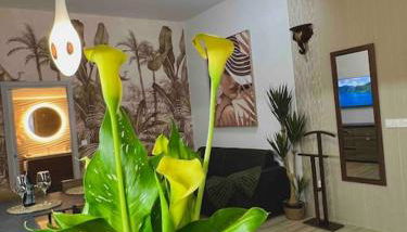 Casa Maravillosa - Foto 4