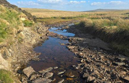 Luxury Welsh wooden cabin - Foto 60