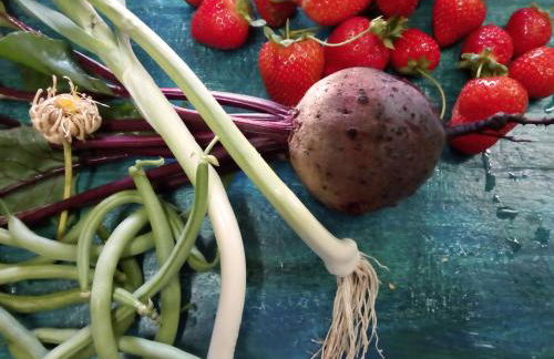 Casa Cerro da Correia - Foto 59