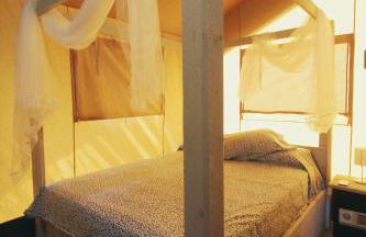 Veragua. Glamping y Apartamentos turísticos - Photo 15