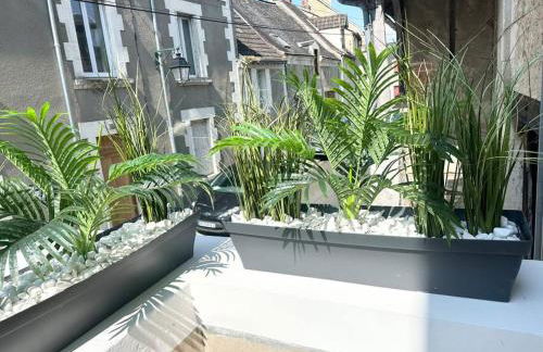 Chaleureuse maison au coeur d'Argenton-sur-Creuse - Foto 48