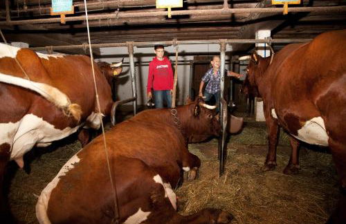 Ansitz Zehentner - Foto 35