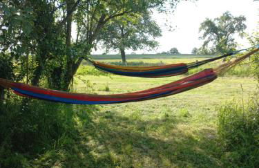 Les hirondelles - Foto 9