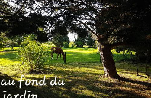 Gîte de la vieille croix - Foto 10