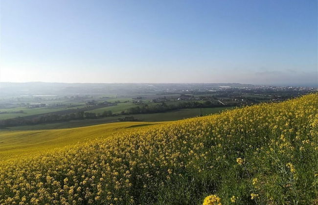 Villa Clair - Villa Clair - Photo 24