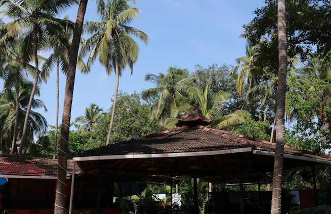 Richmonde Ananta Elite - Foto 41