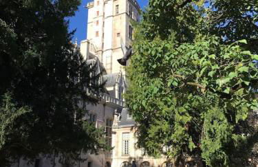 CHARMING FLAT IN HISTORICAL CENTRE - Foto 43