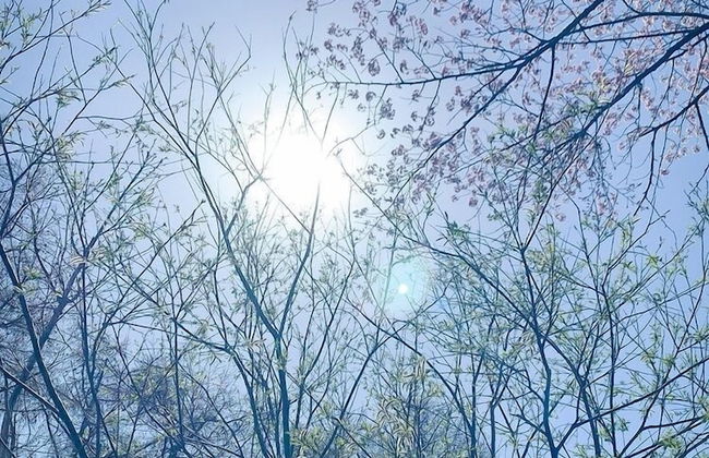 THE VILLA ABASHIRI - Foto 79