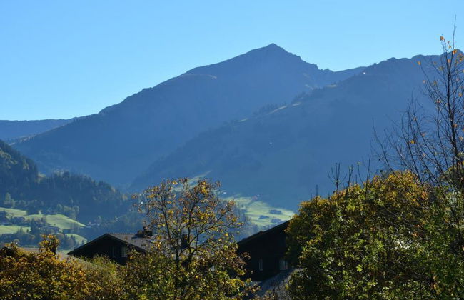 Hornflue (Wohlwender) - Foto 8