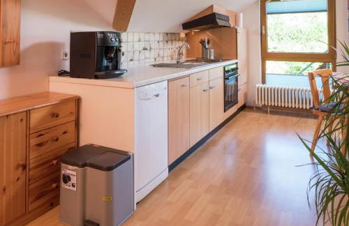 Apartment in Gutenbach With Nearby Forest - Foto 7