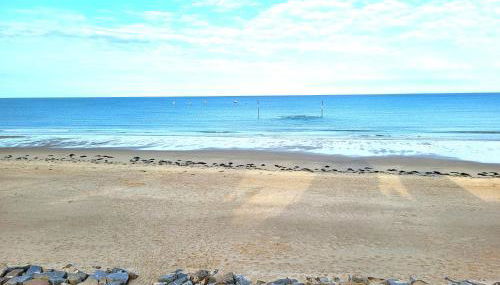 Charmante villa de bord de mer - Foto 2