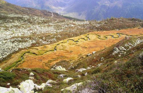 Panorama-Apartments Oberkofl - Photo 57