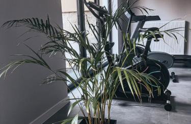 Agroturystyka u Maryli - Foto 64