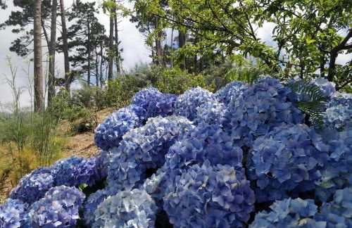 Achadinha - Mountain Cottage - Photo 26