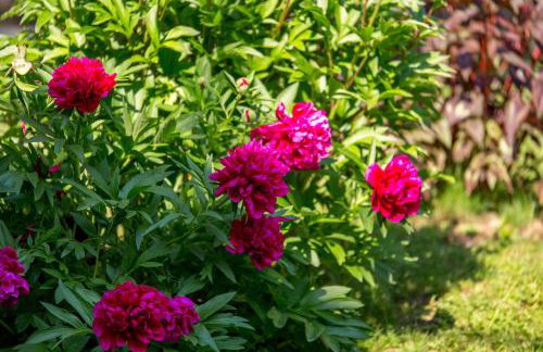 RIKI'S APARTMENT-ZAGREB - Photo 17