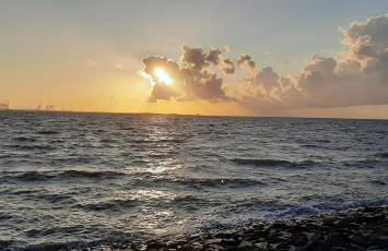 Apart Lachmöwe - Foto 23