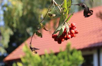 Domy na Kaszubach w Kamieniu - Foto 36