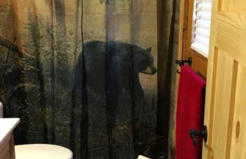 Bears Among Us - Foto 14