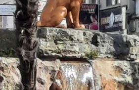 Mon appart Teranga - Foto 16